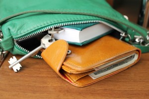 purse