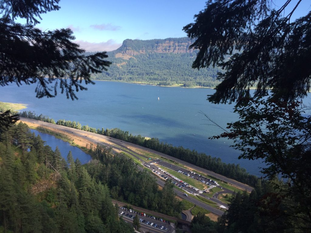 nature view