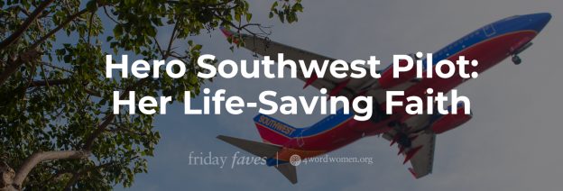 hero southwest pilot