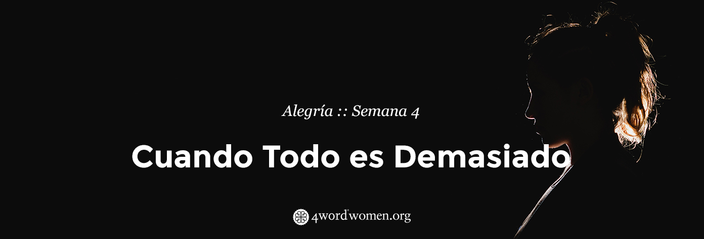 Cuando Todo es Demasiado