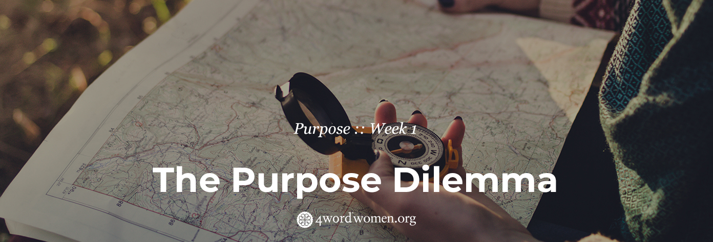 the purpose dilemma 