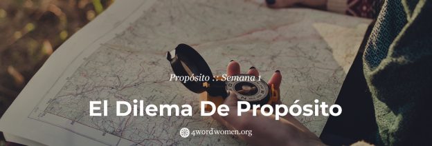El dilema de propósito