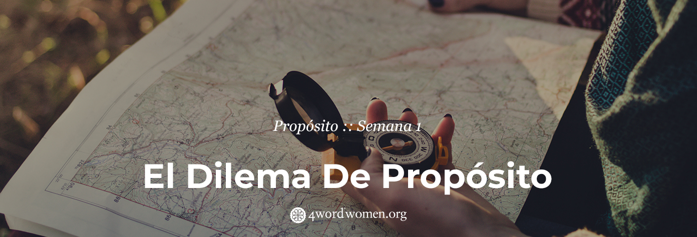 El dilema de propósito