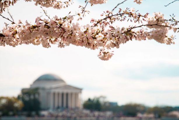 Washington D.C. Metro Area Events